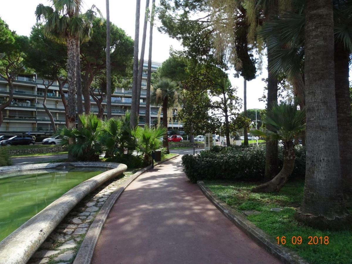Palm Azur