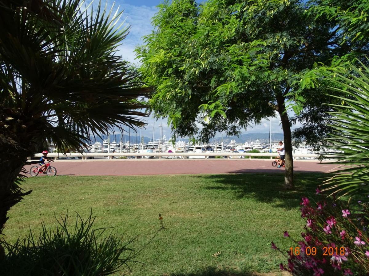 Palm Azur Cannes
