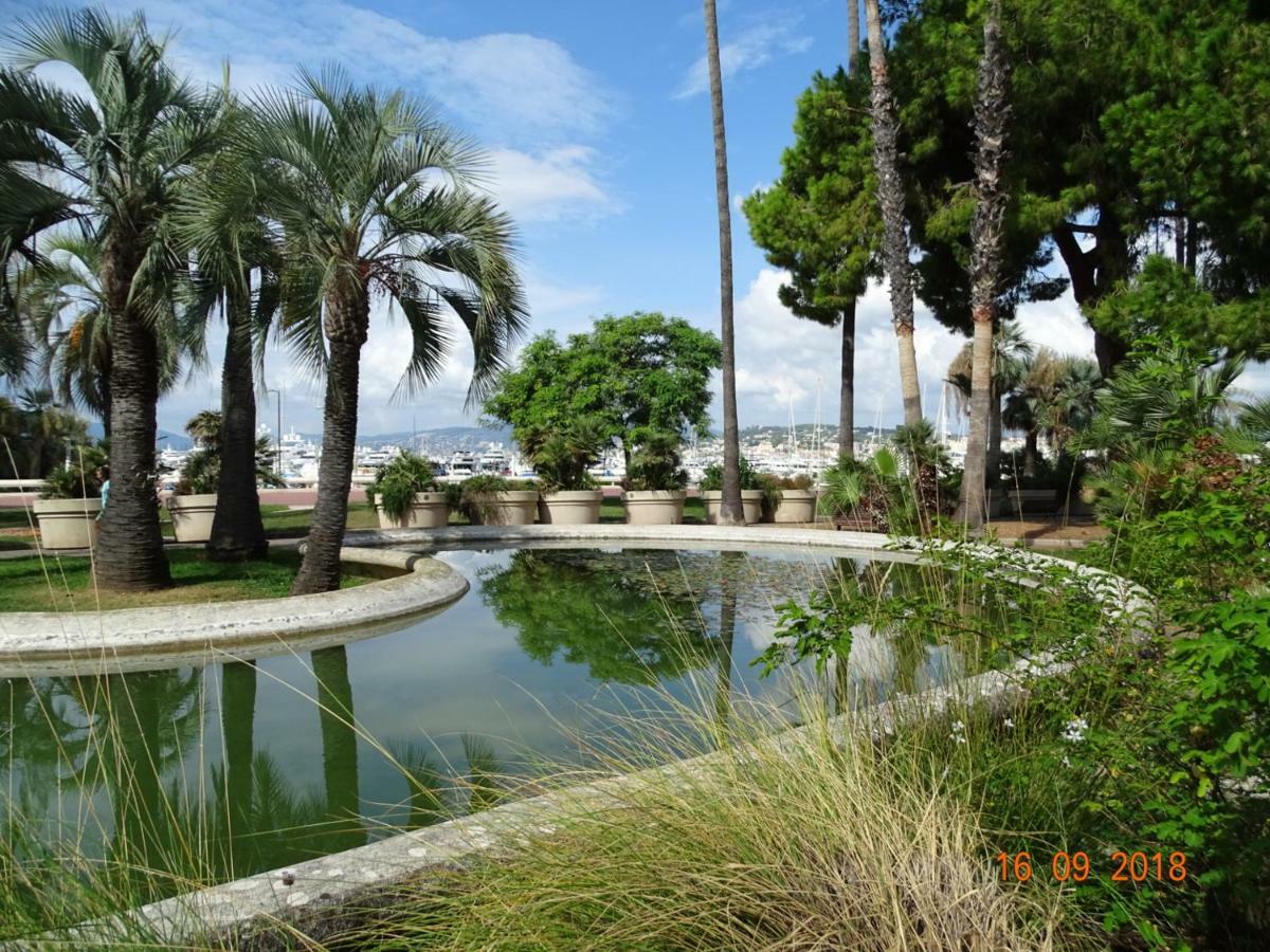 Palm Azur